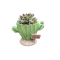 Pot Cute mini