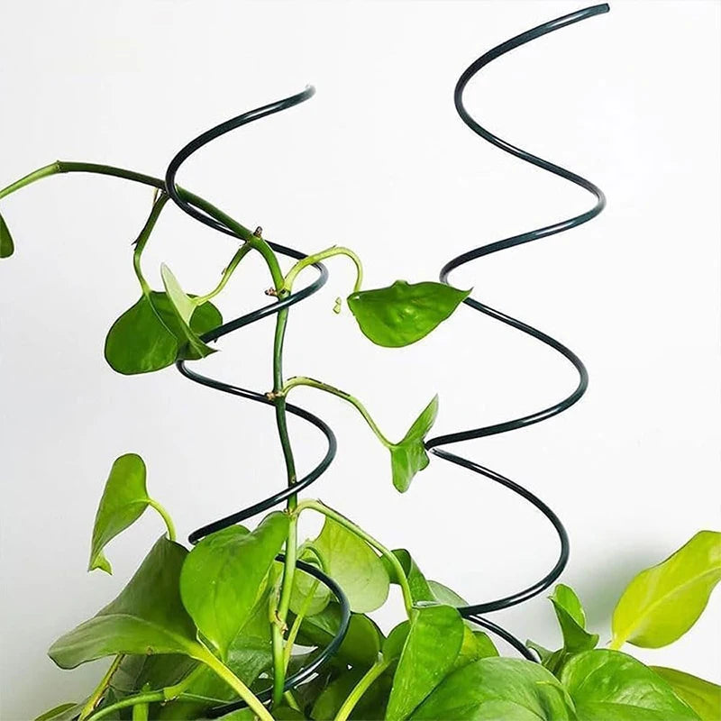 Plant Support Twisted Plant Stakes