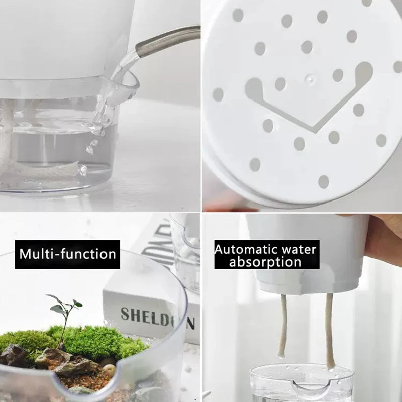 Mini Plant Pot Hydroponic Flower