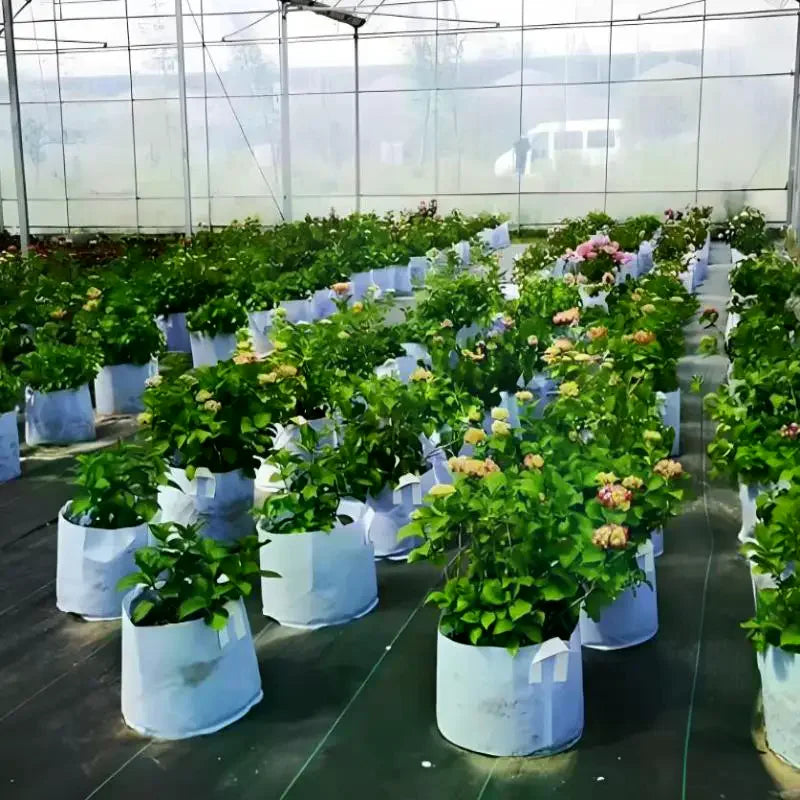 Round Fabric Pots Grow Bags