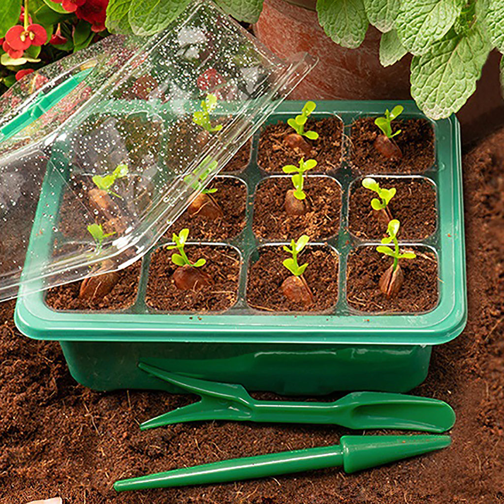LED Grow Light 6/12