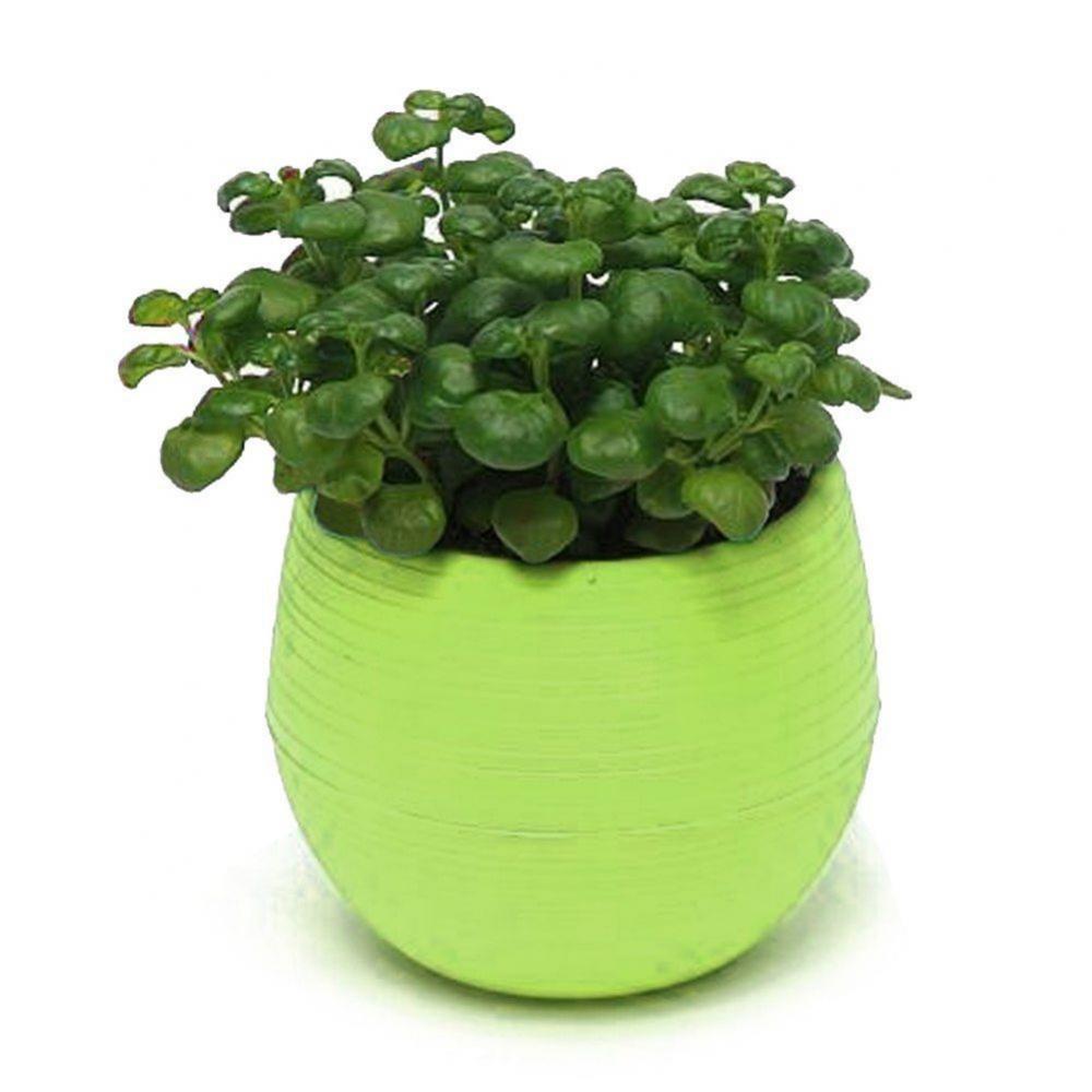 2 Layer Drain Hole Succulent Pot Mini Flower
