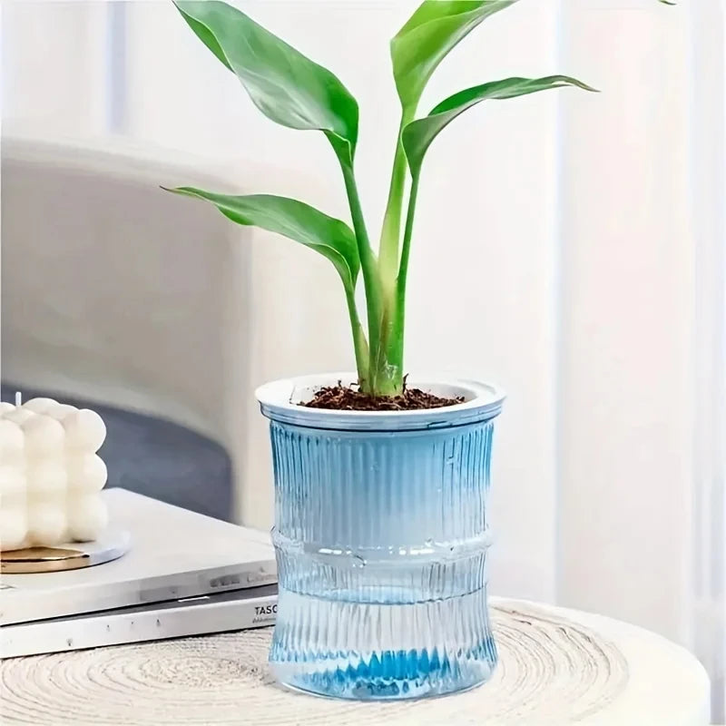Lazy Hydroponic Flower Pot Automatic Water-Absorbing