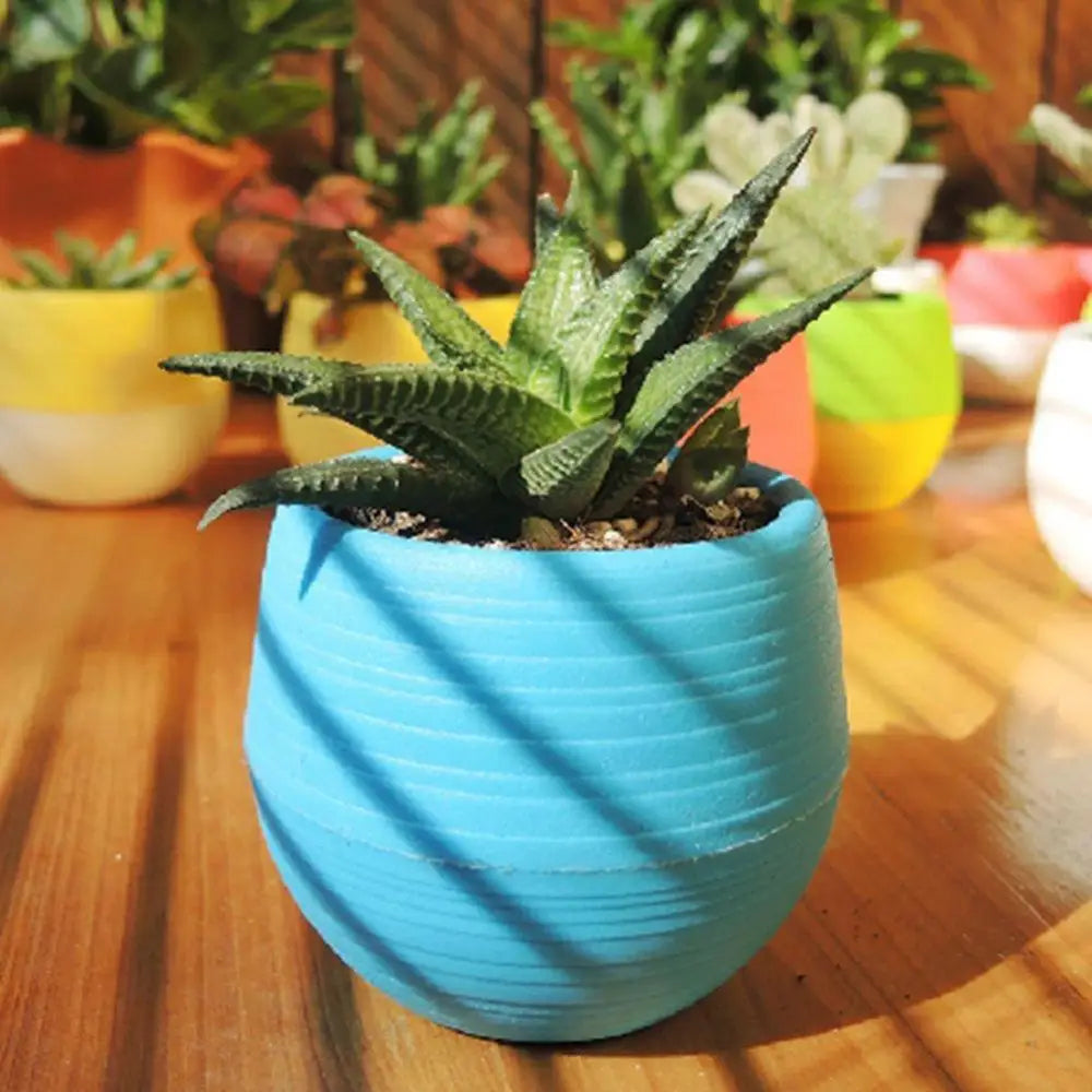 2 Layer Drain Hole Succulent Pot Mini Flower