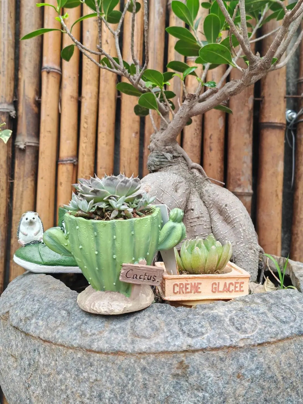 Pot Cute mini