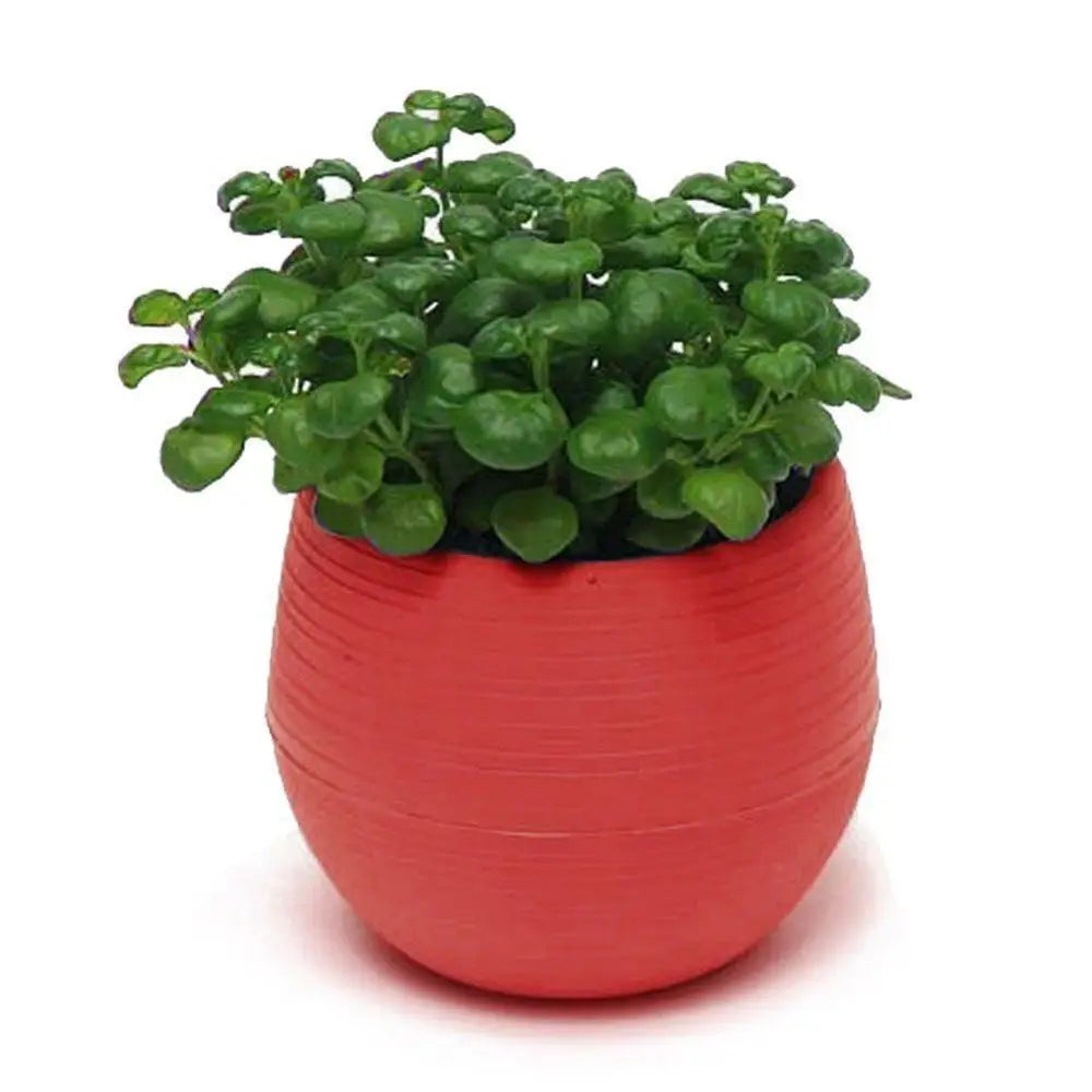 2 Layer Drain Hole Succulent Pot Mini Flower