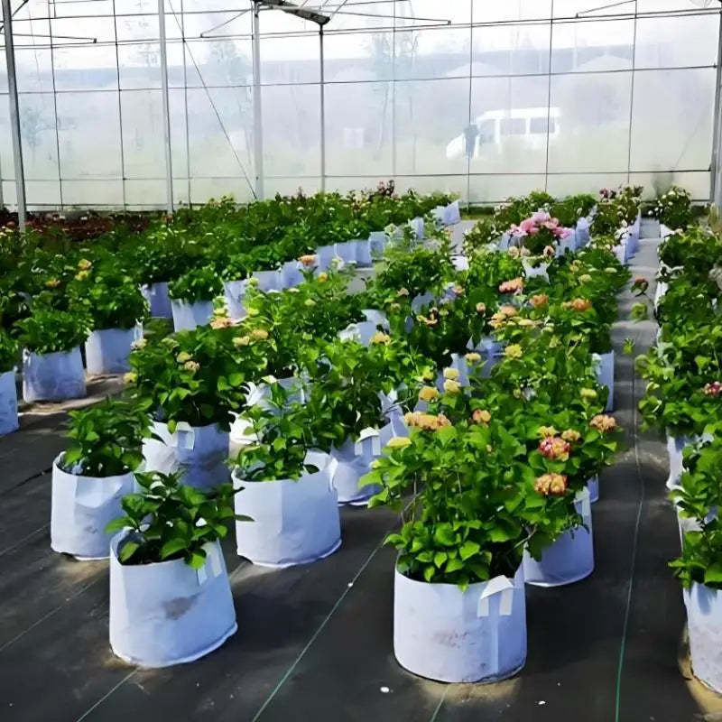 Round Fabric Pots Grow Bags
