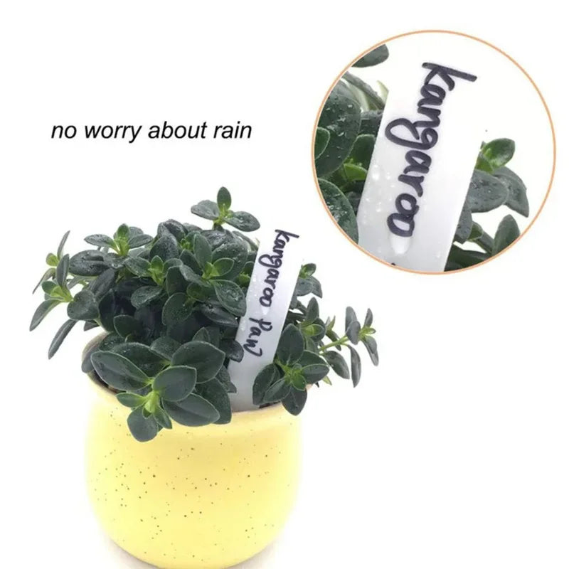 100pcs Garden Plant Labels