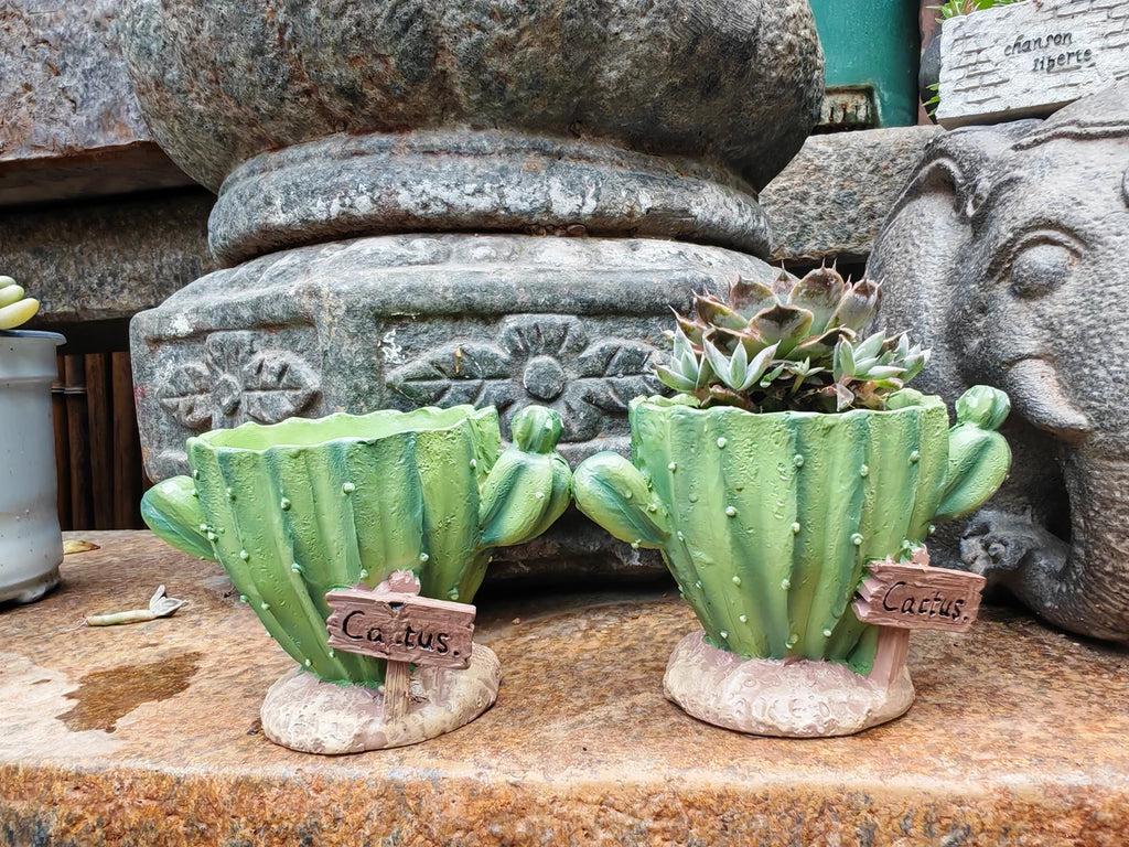Pot Cute mini
