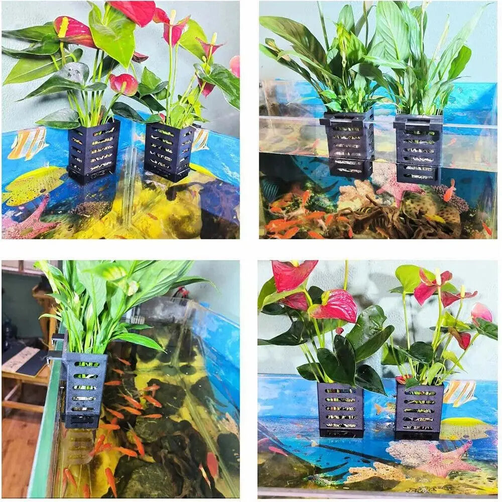 Hydroponic Aquarium Plant Holder