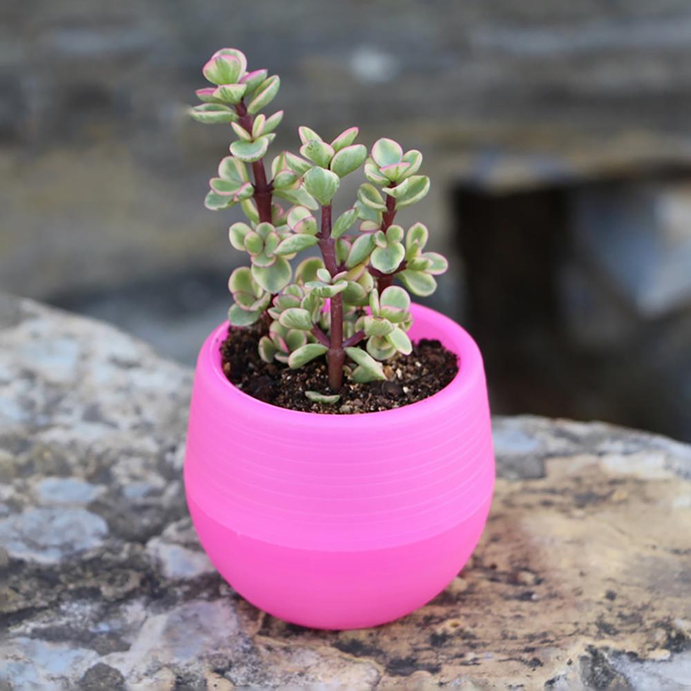 2 Layer Drain Hole Succulent Pot Mini Flower