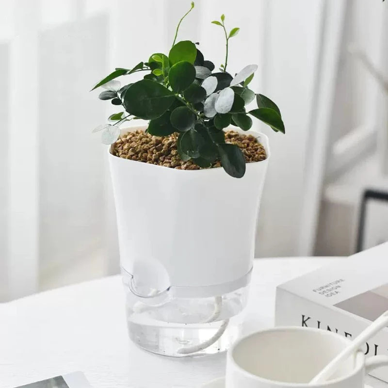 Mini Plant Pot Hydroponic Flower