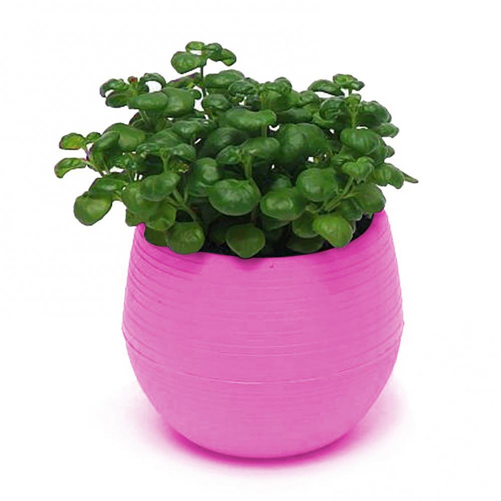2 Layer Drain Hole Succulent Pot Mini Flower