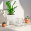 Cartoon Cute Cat Tail Flower Pot