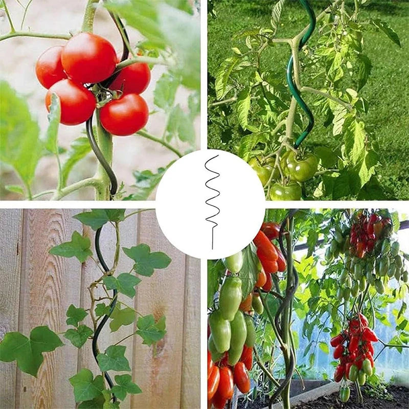 Plant Support Twisted Plant Stakes