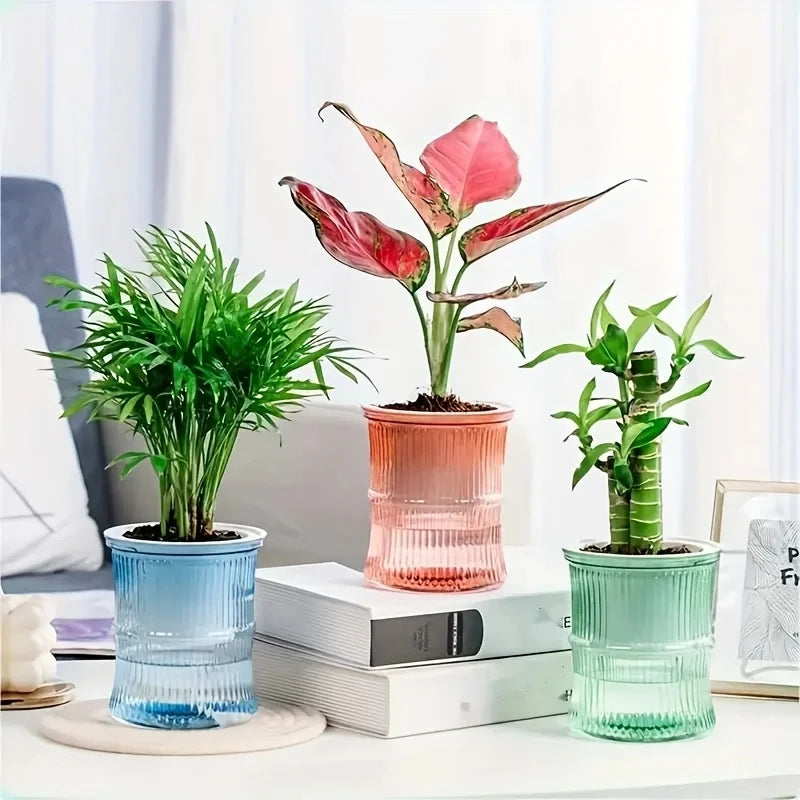 Lazy Hydroponic Flower Pot Automatic Water-Absorbing