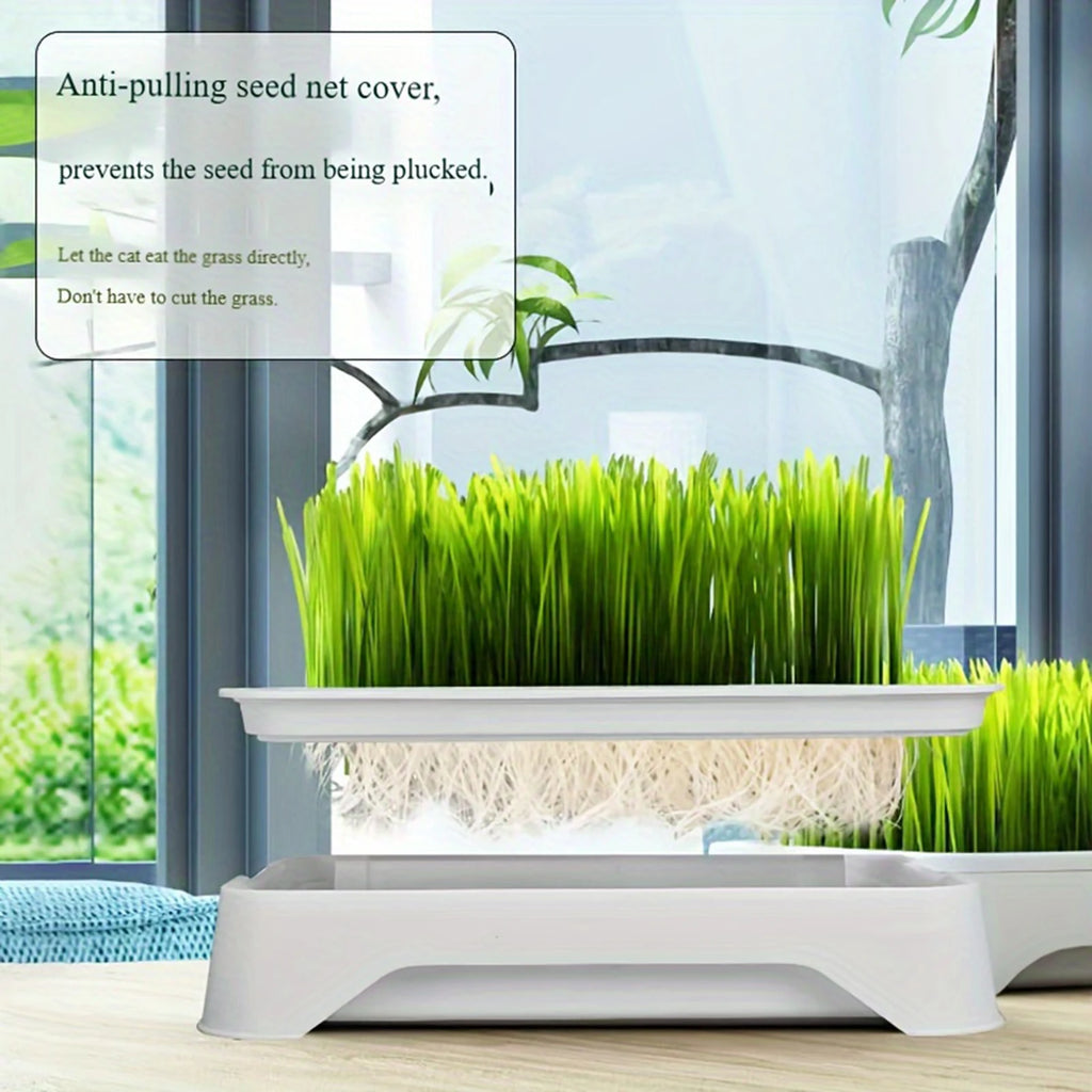 Pet Cat Grass Planting