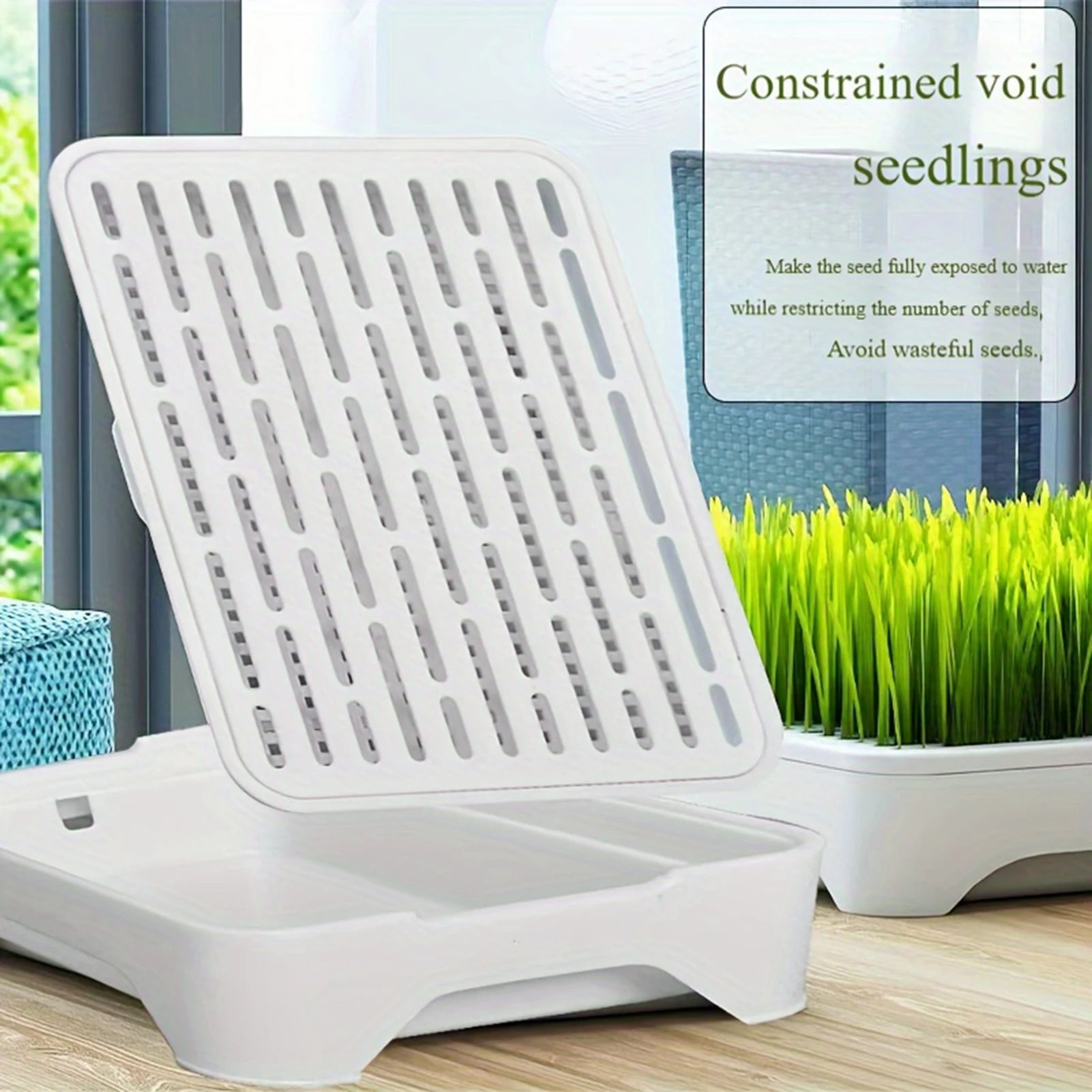 Pet Cat Grass Planting