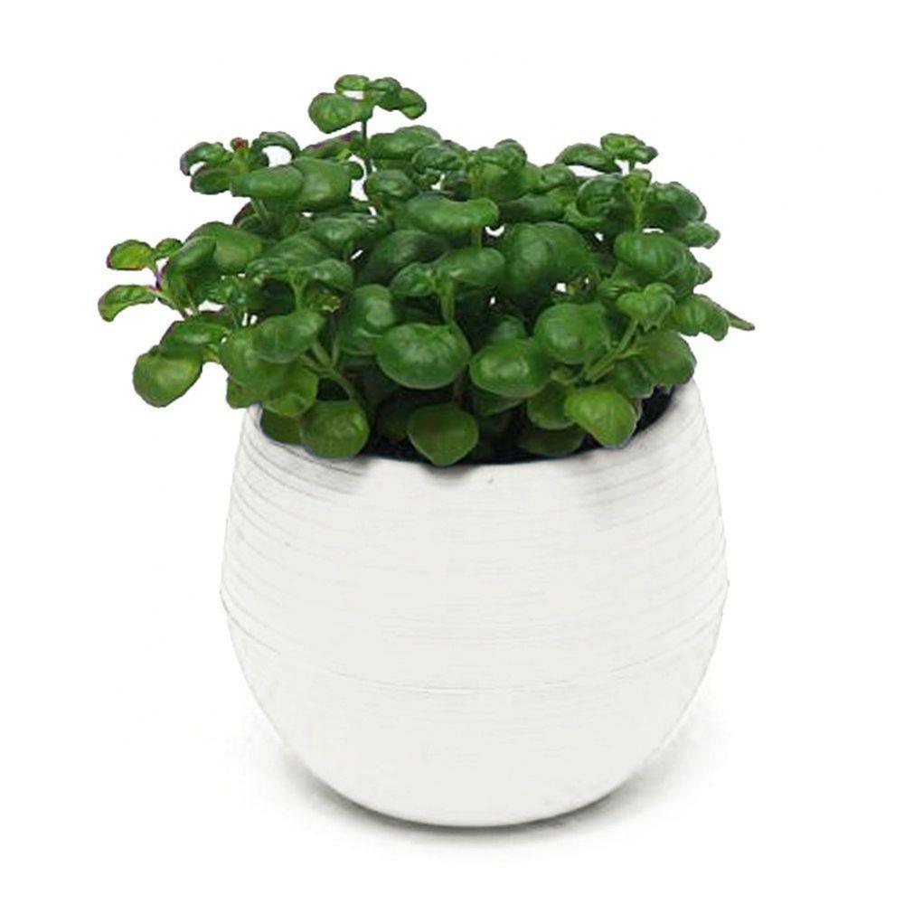 2 Layer Drain Hole Succulent Pot Mini Flower