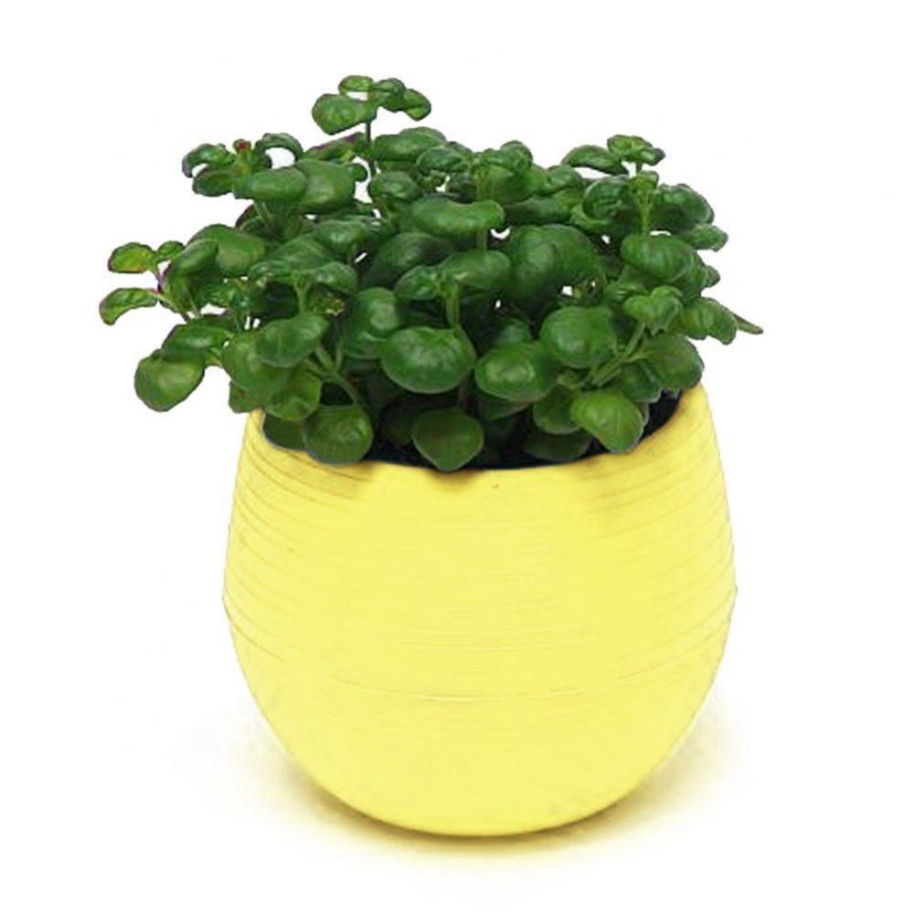 2 Layer Drain Hole Succulent Pot Mini Flower