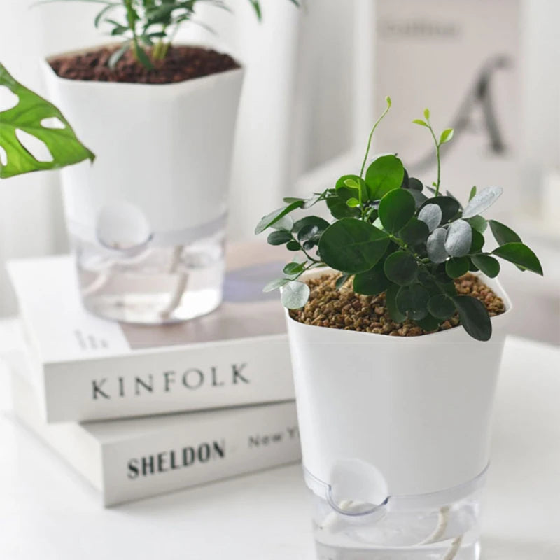 Mini Plant Pot Hydroponic Flower