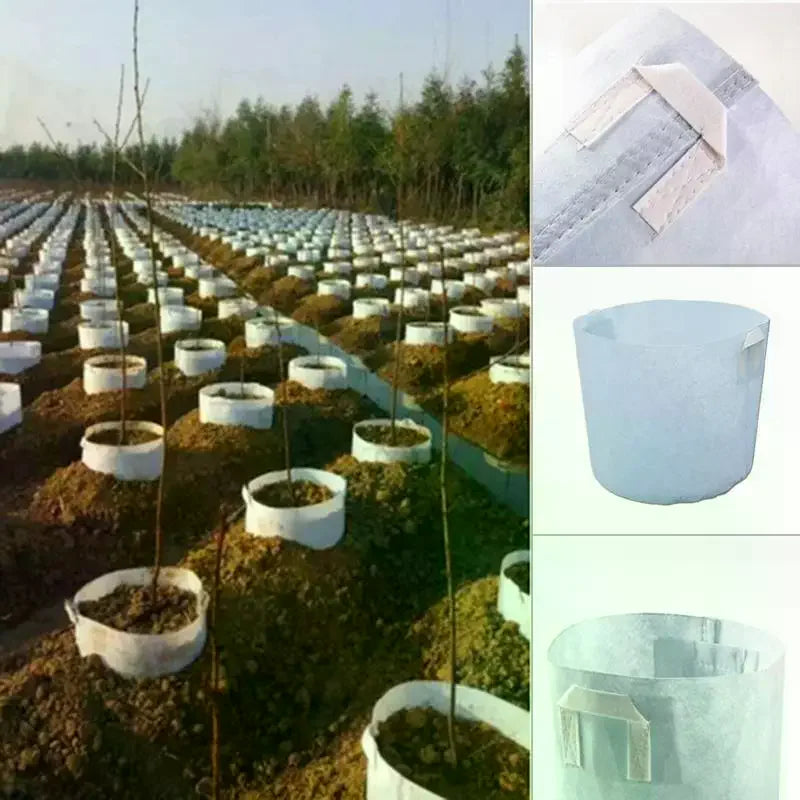Round Fabric Pots Grow Bags
