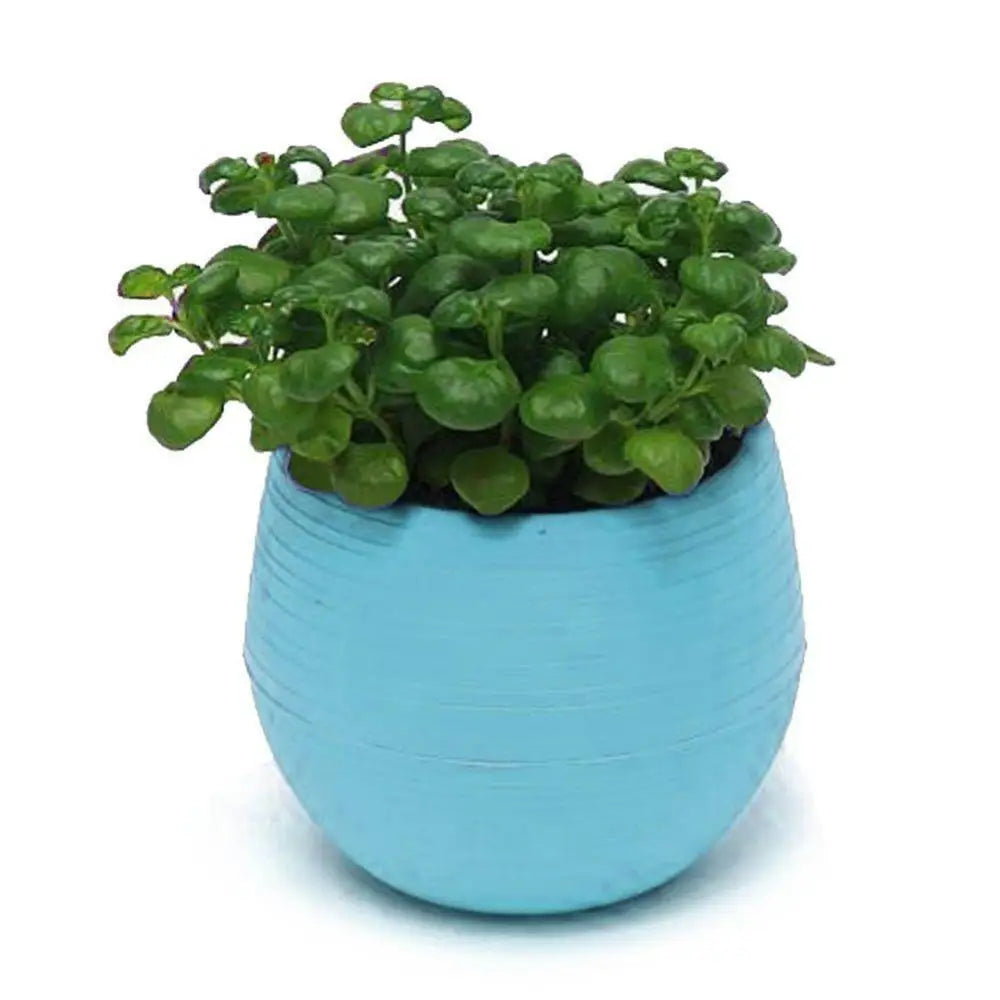 2 Layer Drain Hole Succulent Pot Mini Flower