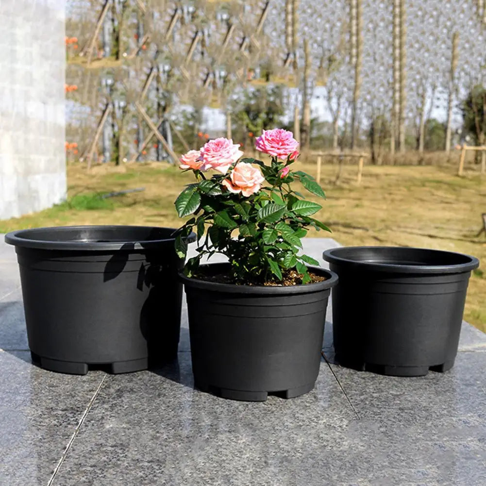 Indoor Plant Pot Black Plastic Flowerpo