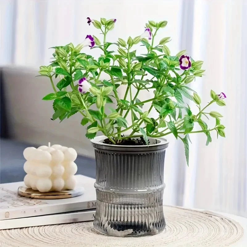 Lazy Hydroponic Flower Pot Automatic Water-Absorbing
