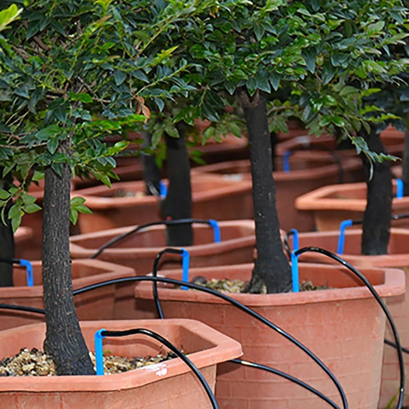 New Automatic Watering System for Potted Plants