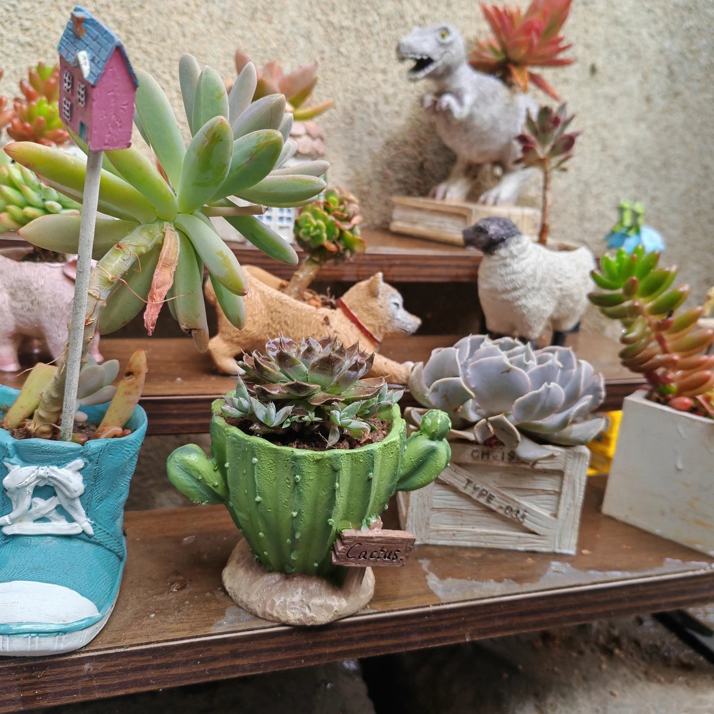 Pot Cute mini