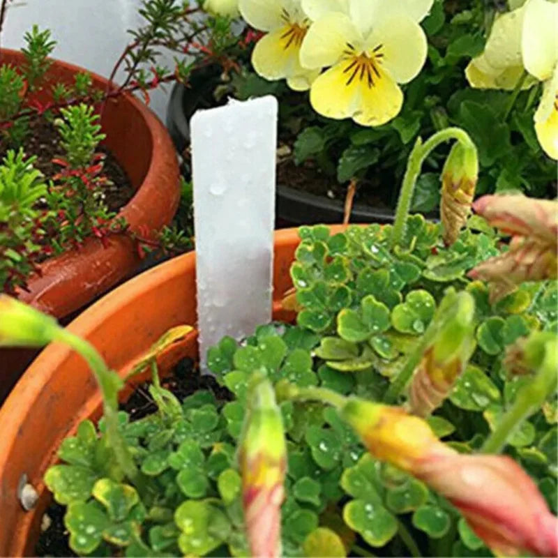 100pcs Garden Plant Labels