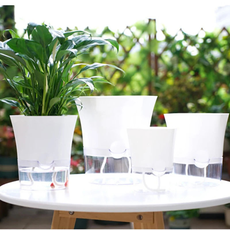 Mini Plant Pot Hydroponic Flower
