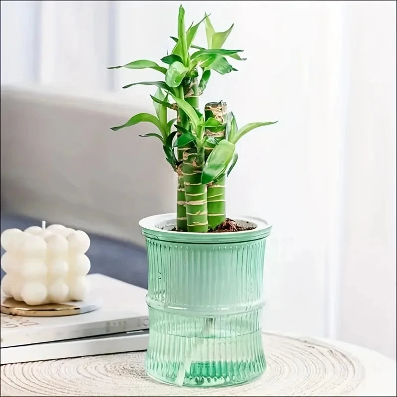 Lazy Hydroponic Flower Pot Automatic Water-Absorbing