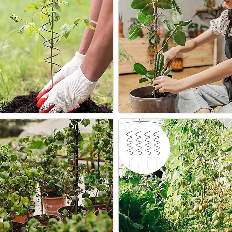 Plant Support Twisted Plant Stakes