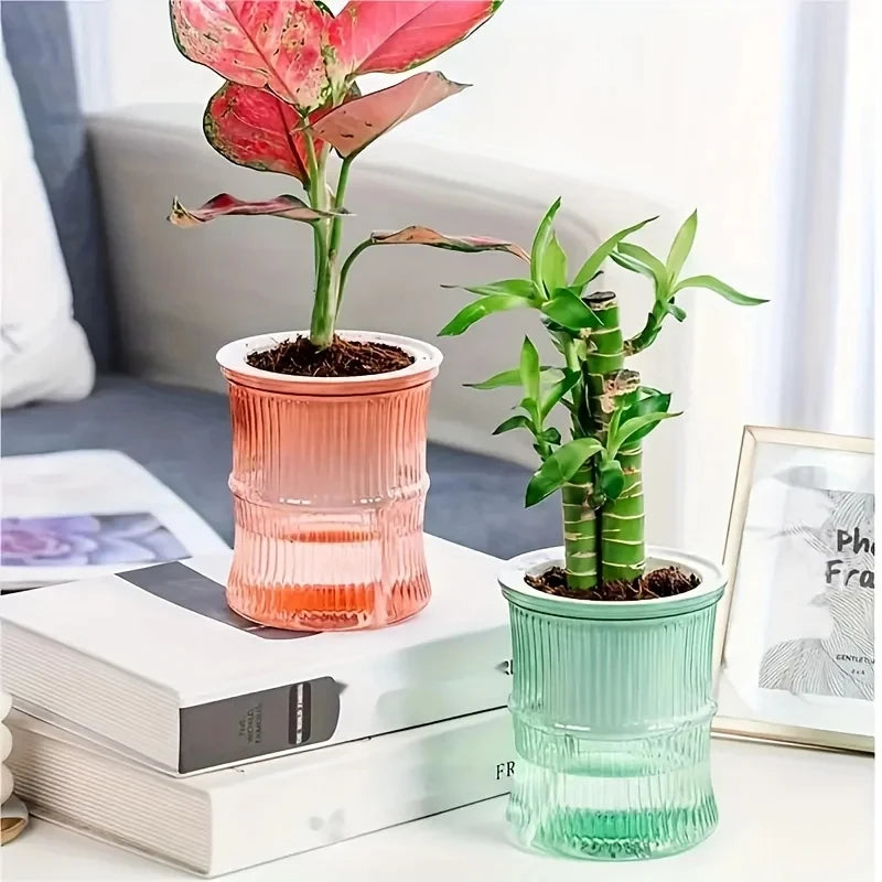 Lazy Hydroponic Flower Pot Automatic Water-Absorbing