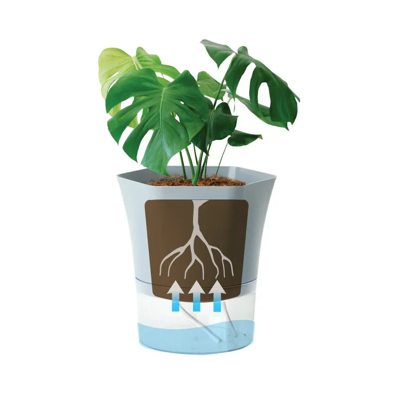Mini Plant Pot Hydroponic Flower